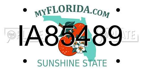 IA85489 Florida License Plate