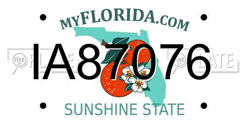 IA87076 Florida License Plate