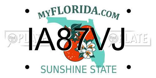 IA87VJ Florida License Plate