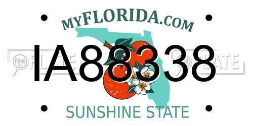 IA88338 Florida License Plate