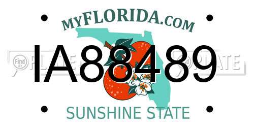 IA88489 Florida License Plate