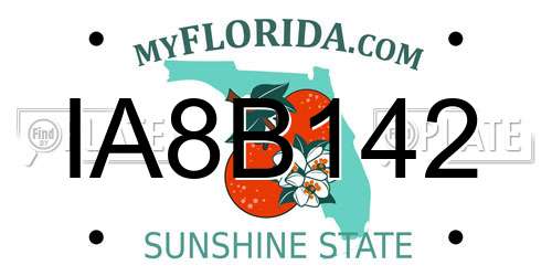 IA8B142 Florida License Plate