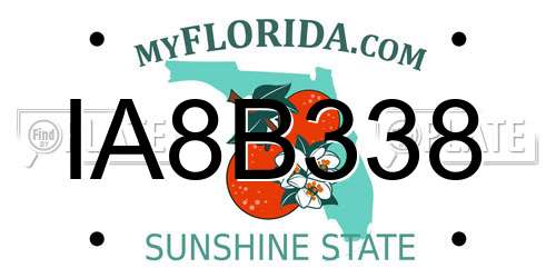 IA8B338 Florida License Plate