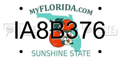 IA8B376 Florida License Plate