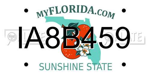 IA8B459 Florida License Plate