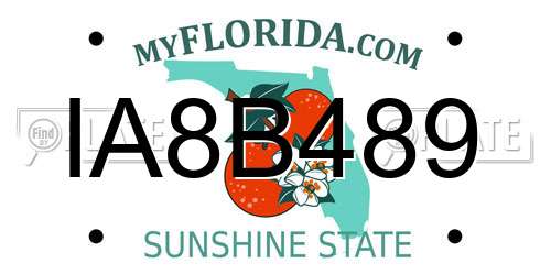 IA8B489 Florida License Plate