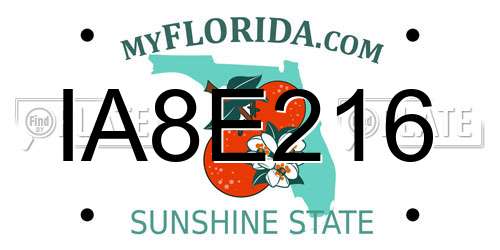 IA8E216 Florida License Plate