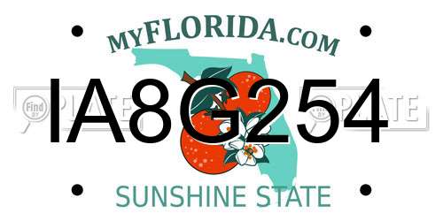 IA8G254 Florida License Plate
