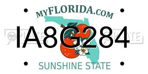 IA8G284 Florida License Plate