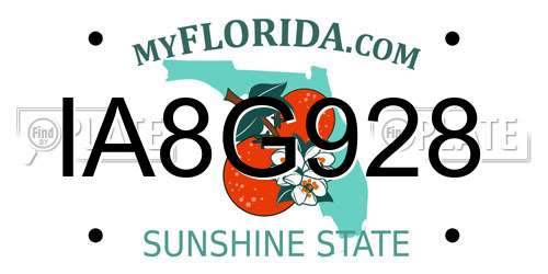 IA8G928 Florida License Plate