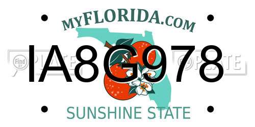 IA8G978 Florida License Plate