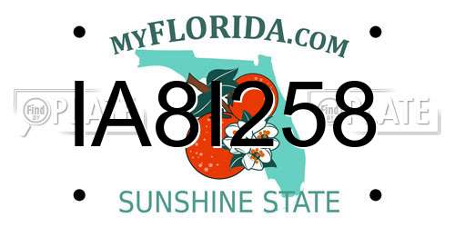 IA8I258 Florida License Plate