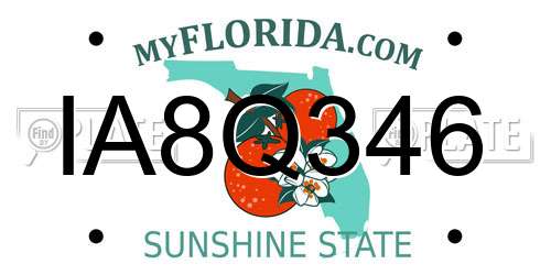 IA8Q346 Florida License Plate