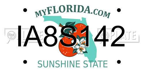 IA8S142 Florida License Plate