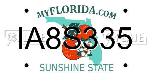 IA8S335 Florida License Plate