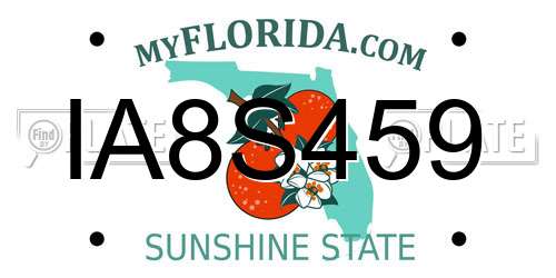 IA8S459 Florida License Plate