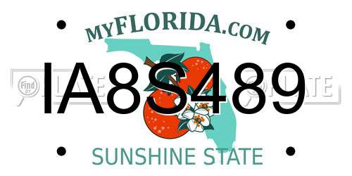 IA8S489 Florida License Plate