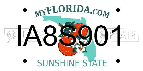 IA8S901 Florida License Plate