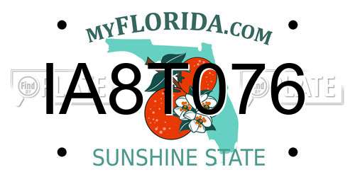 IA8T076 Florida License Plate