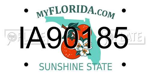 IA90185 Florida License Plate