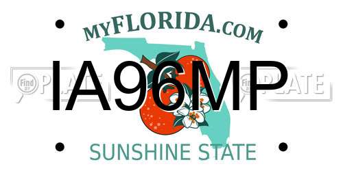 IA96MP Florida License Plate