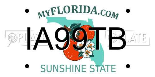 IA99TB Florida License Plate