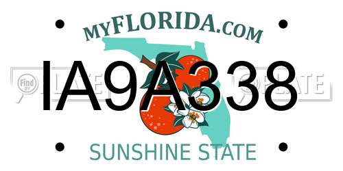 IA9A338 Florida License Plate