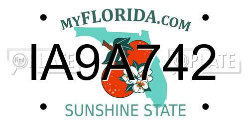 IA9A742 Florida License Plate