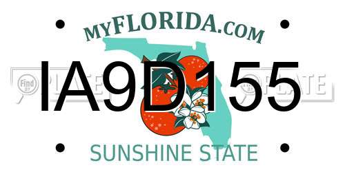 IA9D155 Florida License Plate