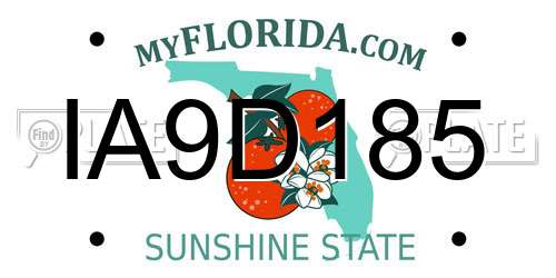 IA9D185 Florida License Plate