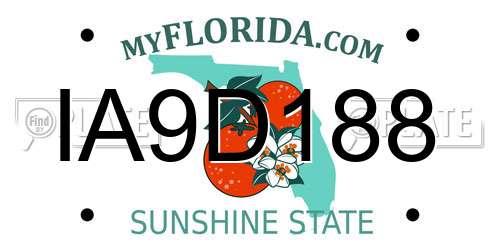 IA9D188 Florida License Plate