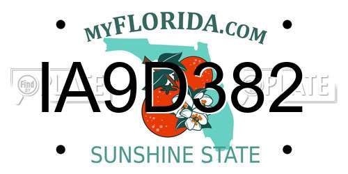 IA9D382 Florida License Plate