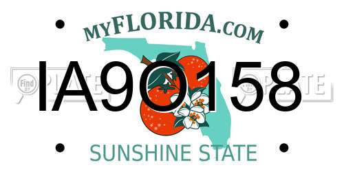 IA9O158 Florida License Plate