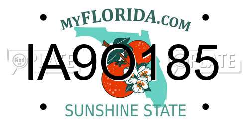 IA9O185 Florida License Plate
