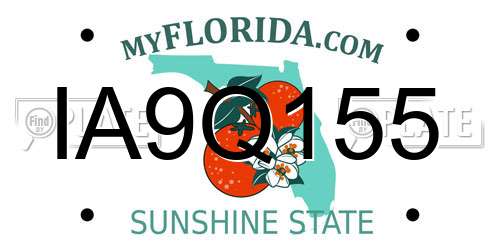 IA9Q155 Florida License Plate