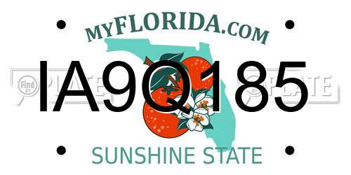 IA9Q185 Florida License Plate