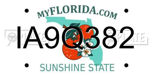 IA9Q382 Florida License Plate