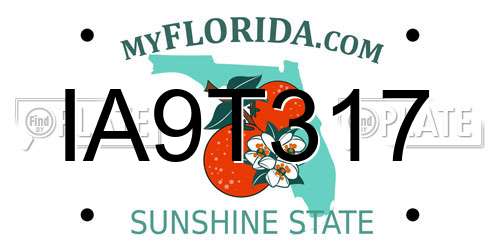 IA9T317 Florida License Plate