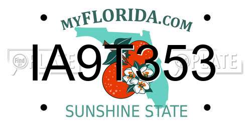 IA9T353 Florida License Plate