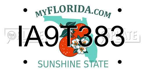 IA9T383 Florida License Plate