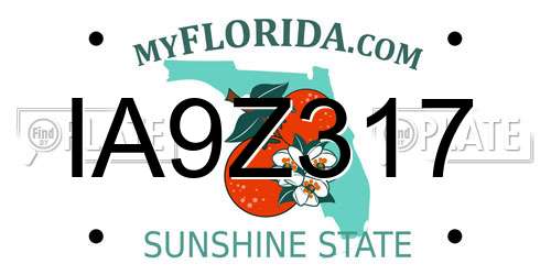 IA9Z317 Florida License Plate