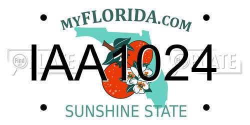 IAA1024 Florida License Plate