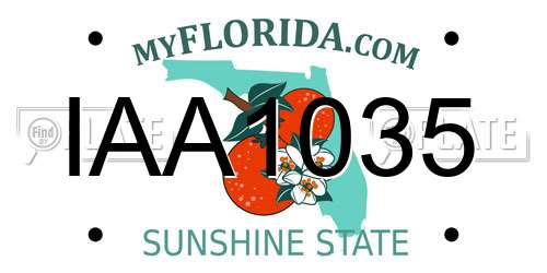IAA1035 Florida License Plate