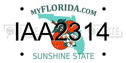 IAA2314 Florida License Plate