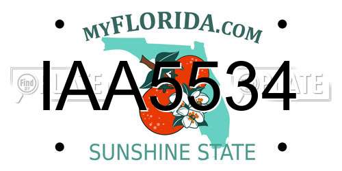 IAA5534 Florida License Plate
