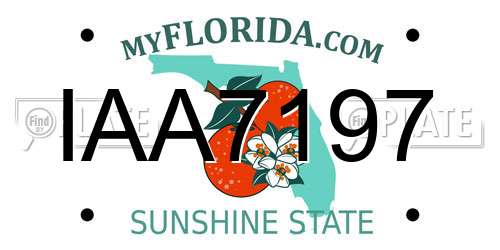 IAA7197 Florida License Plate