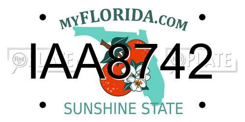 IAA8742 Florida License Plate