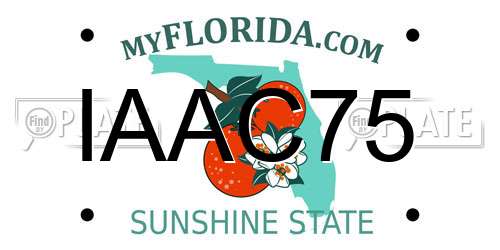 IAAC75 Florida License Plate