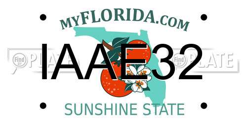 IAAE32 Florida License Plate