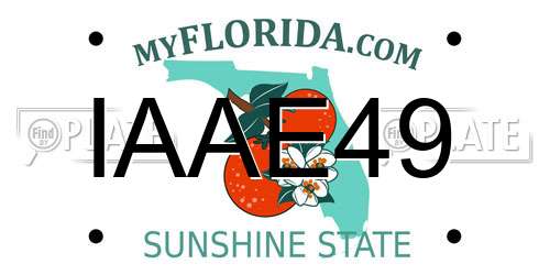 IAAE49 Florida License Plate